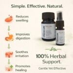 best medicine for piles; best medicine for piles pain relief; treatment for piles; piles best treatment; best piles treatment; anal fissure; anal fissure treatment; ayurvedic treatment for fissure; anal fissure ayurvedic treatment; piles medicine; piles ki medicine; piles ka ilaj; piles ki dawa; piles pain relief tablet; best piles pain relief tablet; piles pain relief medicine; piles capsules; piles swelling how to reduce; how to reduce piles swelling; Effective Home Remedies for Piles; Home Remedies for Piles;piles ki medicine; piles oil; piles care oil; piles medicine; ayurvedic treatment for piles;